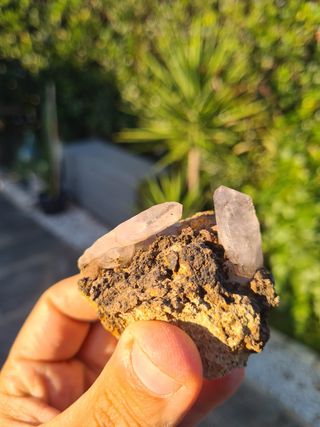 Minerali Collezione Quarzo Cristalli Scettro