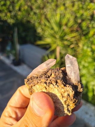 Minerali Collezione Quarzo Cristalli Scettro