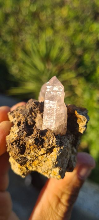 Minerali Collezione Quarzo Cristalli Scettro