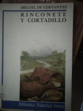 Rinconete y cortadillo