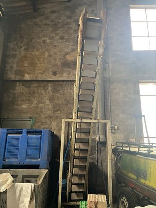 Cinta elevadora para empaquetadora