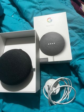 Google Nest Mini 2ª Gen