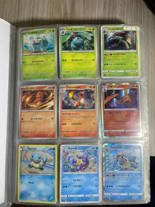 Álbum Pokemon Original TODA LA POKEDEX EN ORDEN