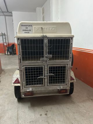remolque para perros