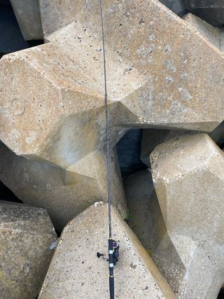 Caña de pescar Daiwa