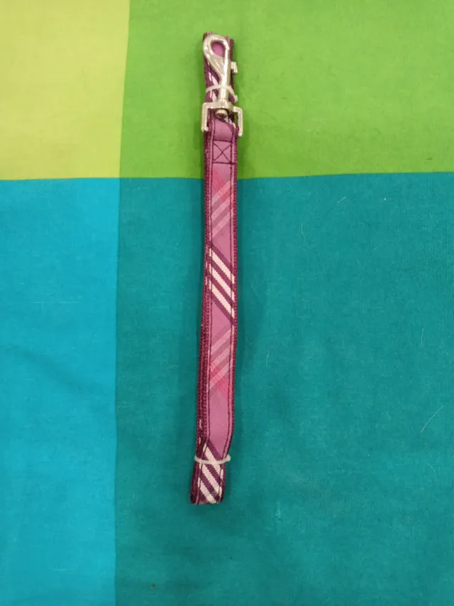 Correa para perro púrpura con diseño a cuadros