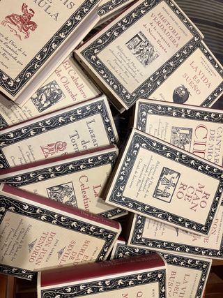 Set di 12 libri classici