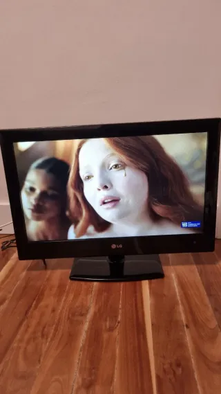 Televisor LG 25" Negro