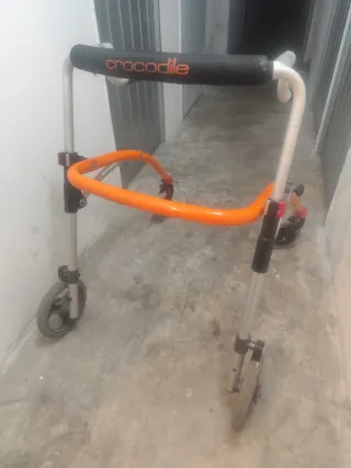 Andador infantil posterior Cocodrilo