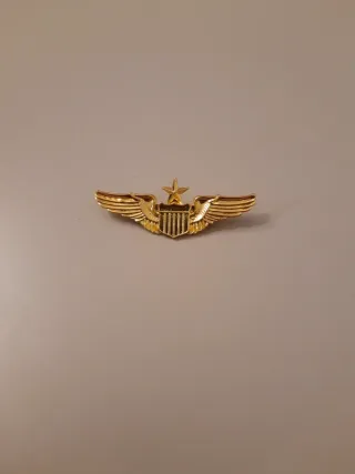 Spilla da aviatore dorata