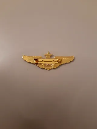Spilla da aviatore dorata