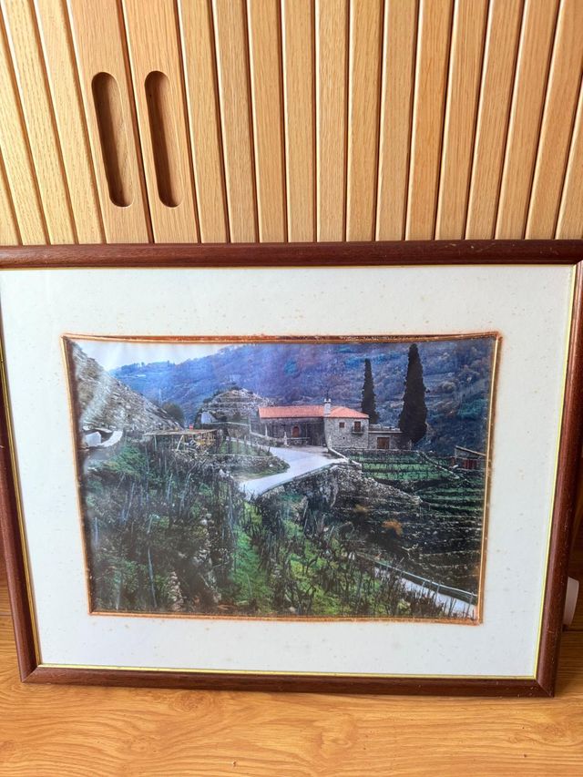 Cuadro paisaje rural con casa