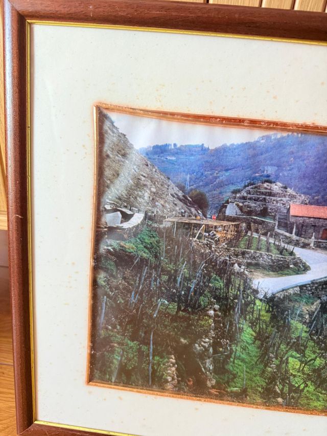 Cuadro paisaje rural con casa