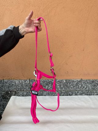 Capezza e lunghina per cavalli rosa