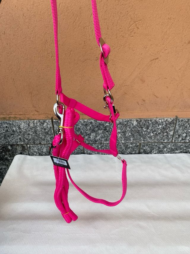 Capezza e lunghina per cavalli rosa