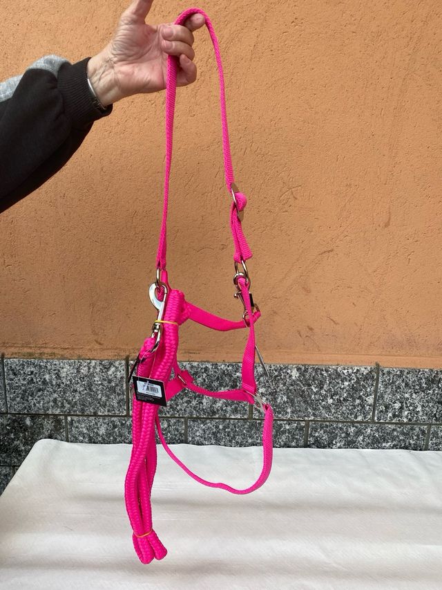 Capezza e lunghina per cavalli rosa
