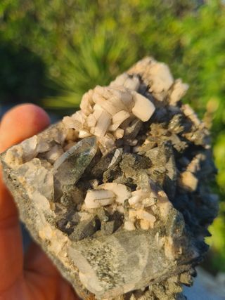 Minerali Collezione Cristalli Ortoclasio Sardegna