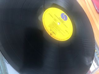 Ramones - Subterranean Jungle Vinilo Punk Rock