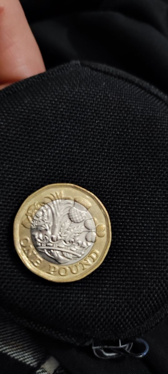 Moneda 1 Libra Esterlina 2018
