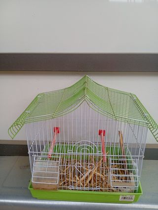 Jaula para pájaros o roedores