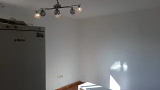 Pintores profesionales