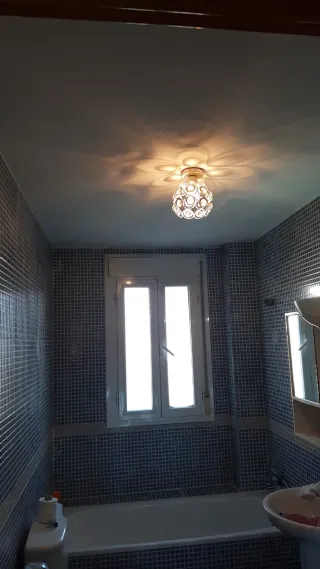 Pintores profesionales