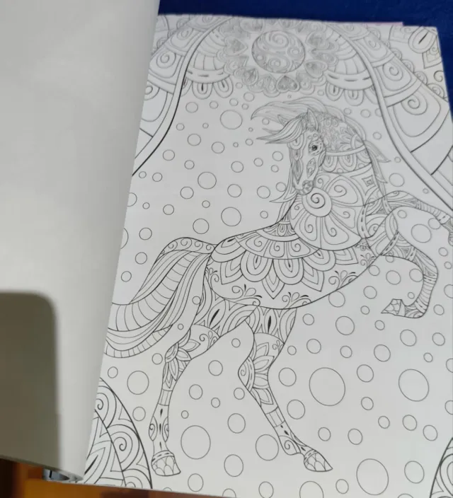 Libros de colorear+ Rotuladores+pinturas de color