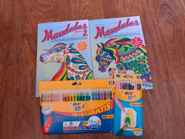Libros de colorear+ Rotuladores+pinturas de color