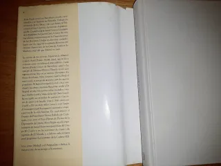 NOVELA "DIARIO DE UNA ABUELA DE VERANO" ROSA REGÁS