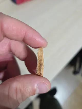 Fragmento Cerámica Antigua