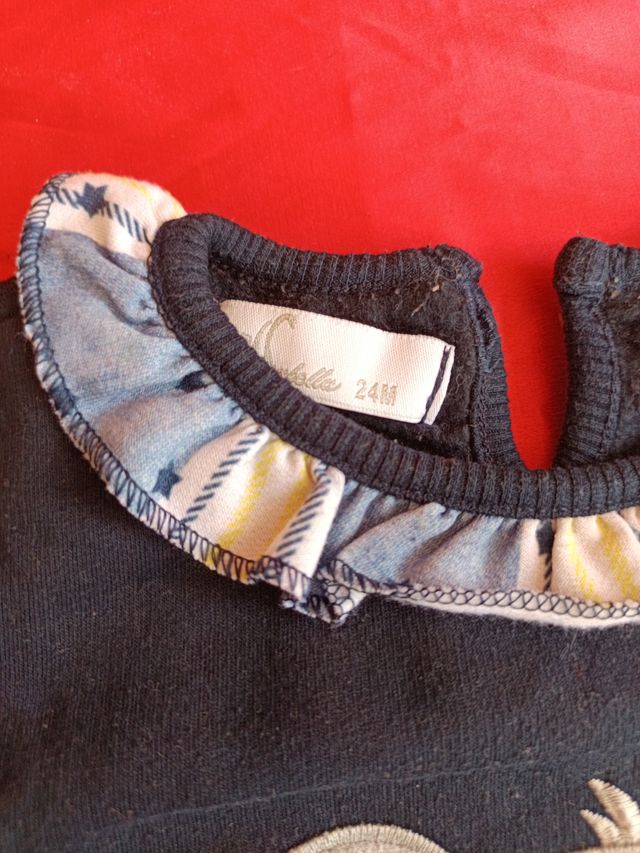 Conjunto niña 24 meses