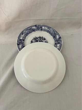 5 Platos Llanos Arcopal Rivanel Azul