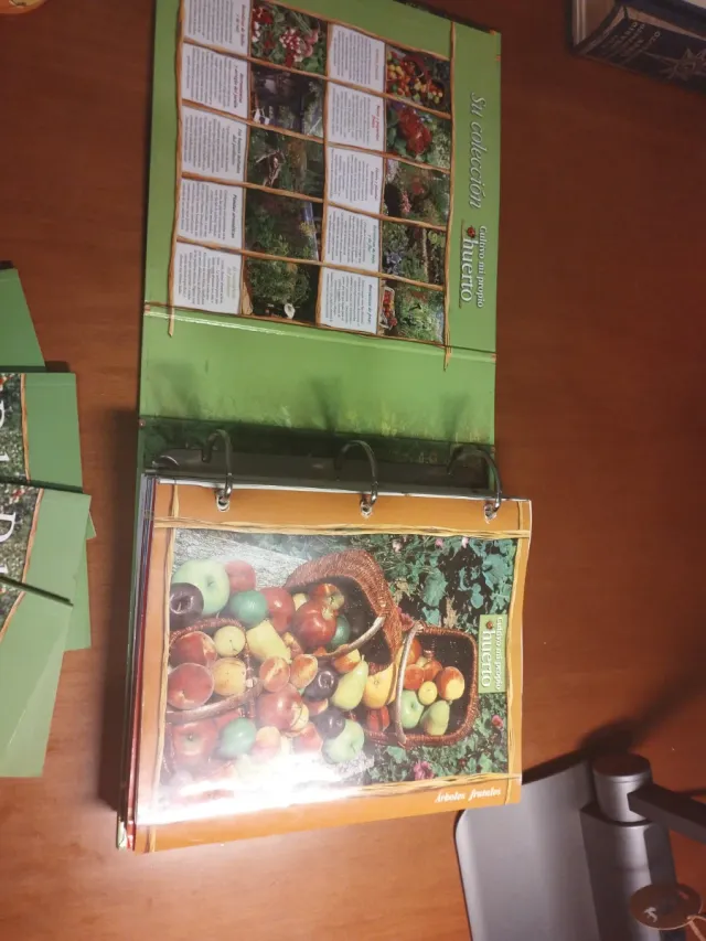 Cultivo mi propio huerto. Del huerto a la cocina.