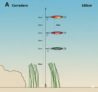5 Montajes Calamar (Pack x5)