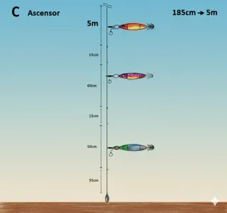 5 Montajes Calamar (Pack x5)