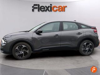 Citroën C4 BlueHDi 130 S&S EAT8 Plus