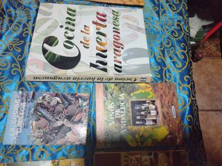 Lote 8 Libros cocina internacional
