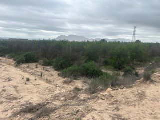 Terreno con plantación de granaínas