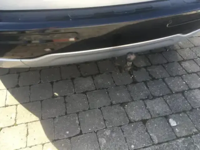 Despiece Citroen C3 Picasso 2014