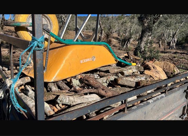 Legna da ardere per caminetto o barbecue