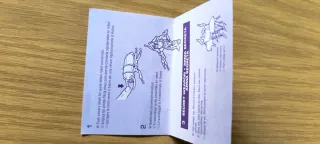 Insecticon Transformers Beast Wars