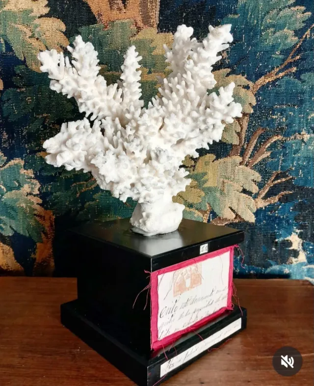 Peana de madera antigua