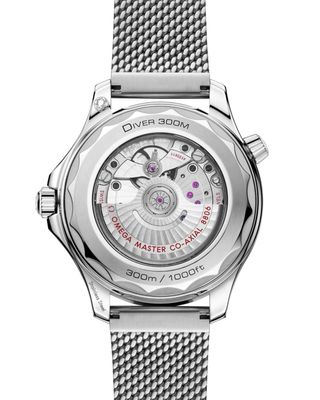 Omega Seamaster Diver 300M 2025