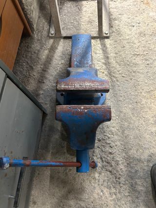 Sargento de banco azul