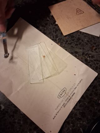 Estereomicroscopio Lupa Binocular 20x