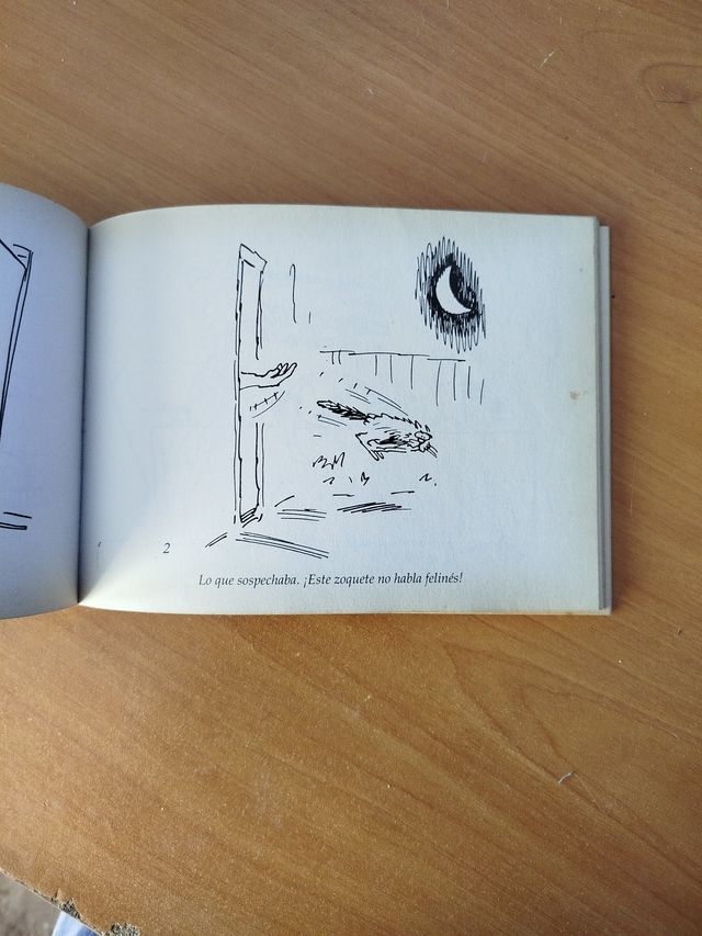 El loco mundo de los gatos