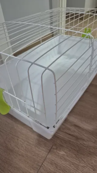 Jaula conejo/cobaya blanca y verde