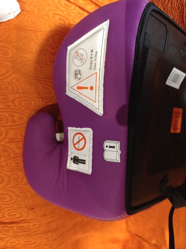 Alzador coche Paw Patrol Skye Everest