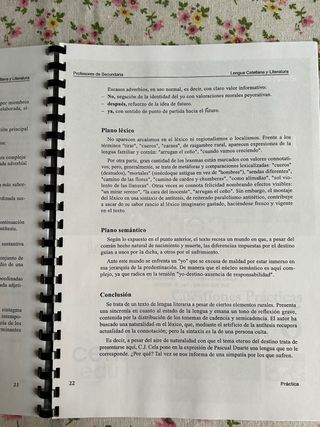 Cuestiones prácticas Lengua castellana y Literatur