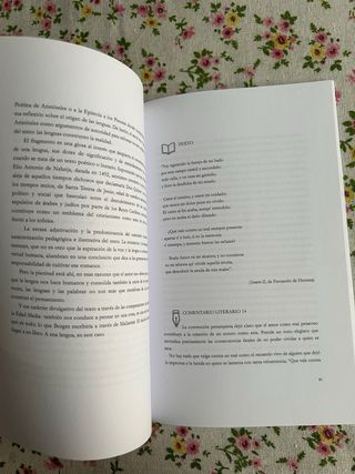 COMENTARIO LITERARIO Y LINGÜÍSTICO PARA OPOSITO...